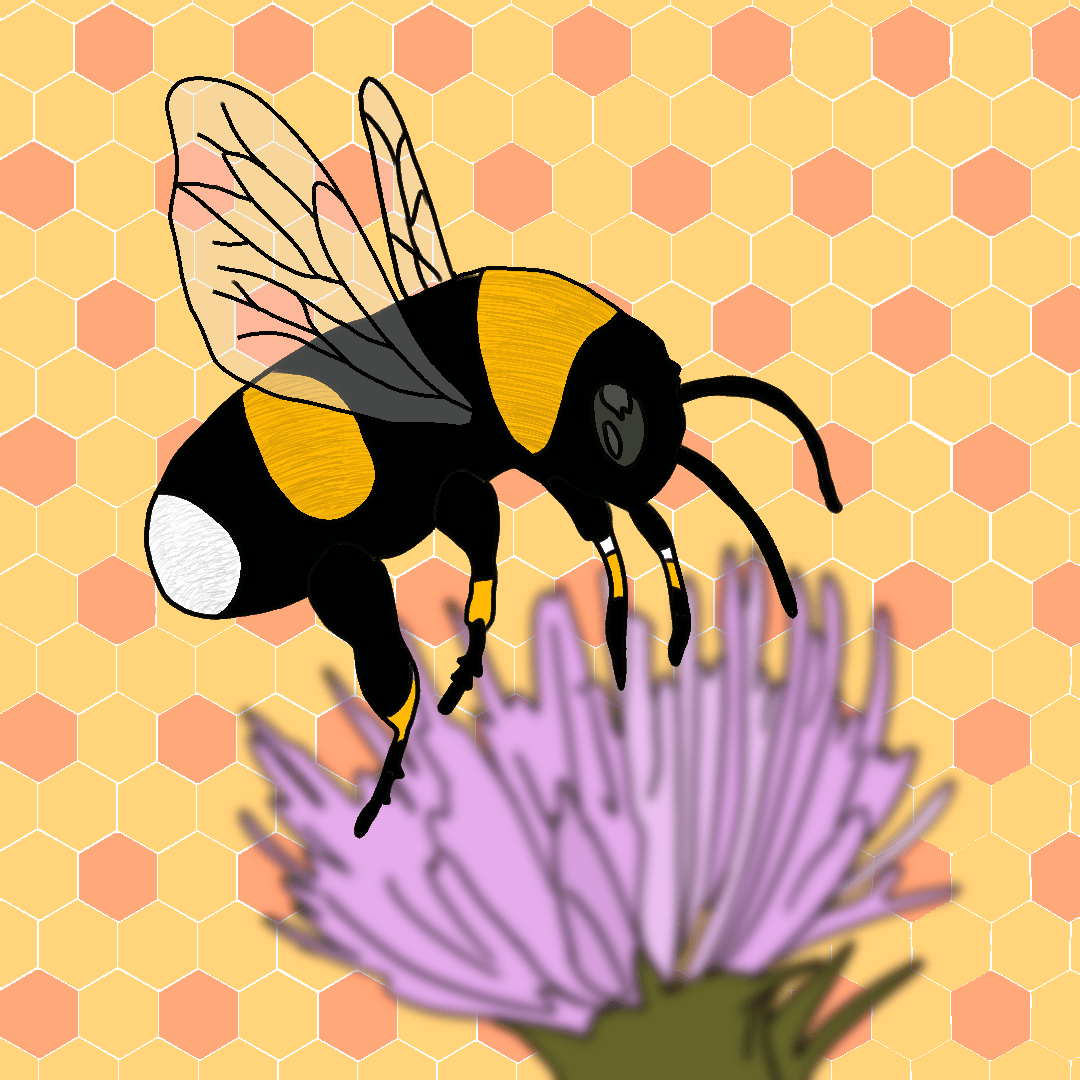 bee