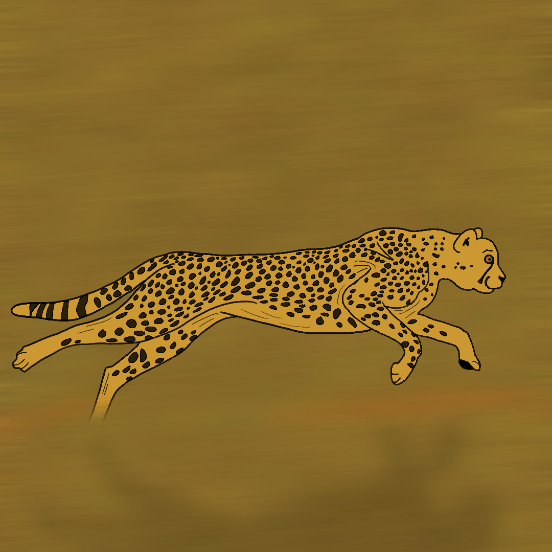 guepardo