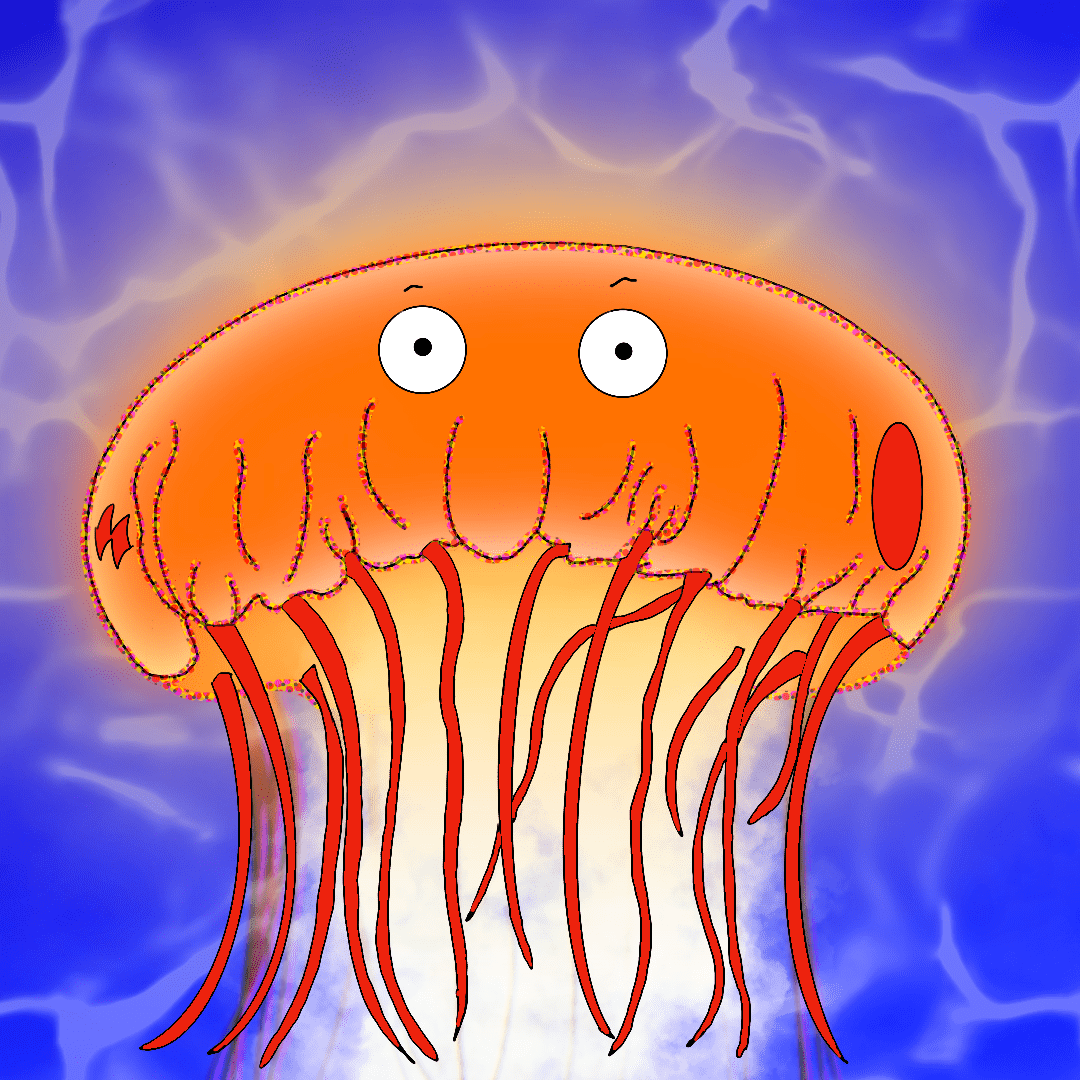 jellyfish