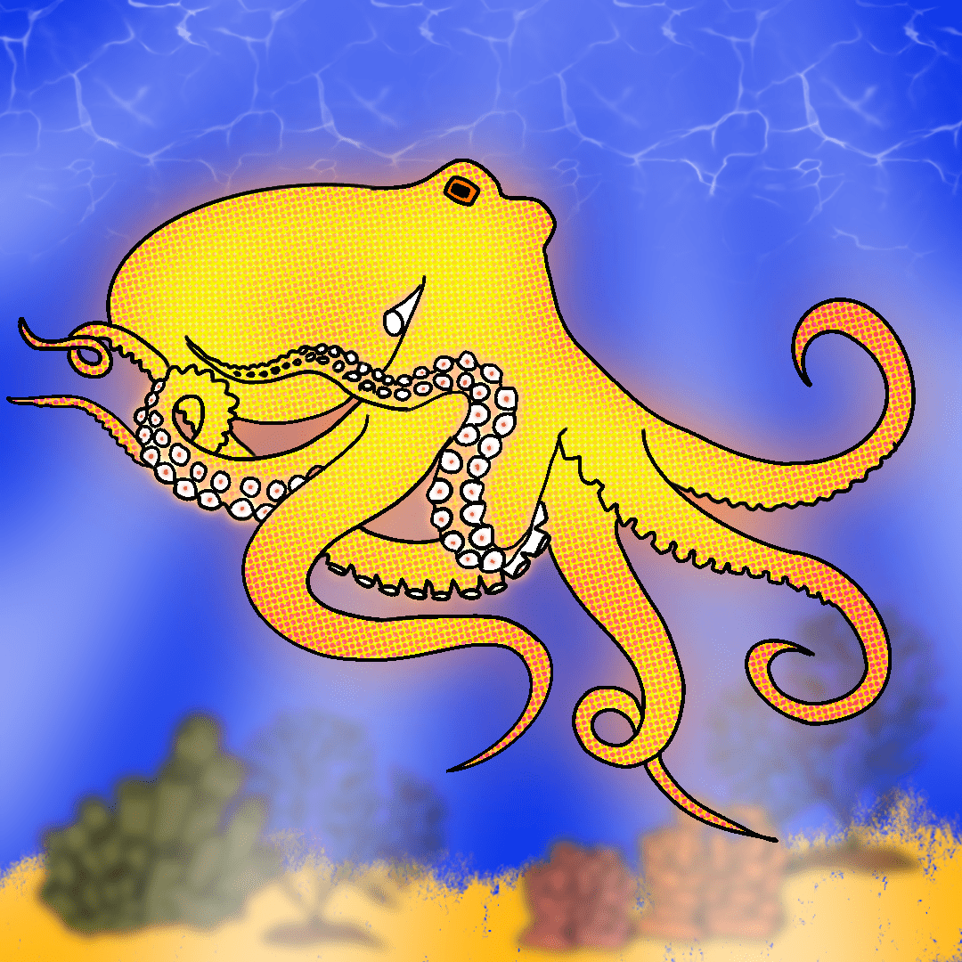 octopus