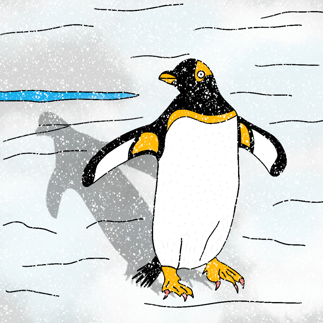 penguin