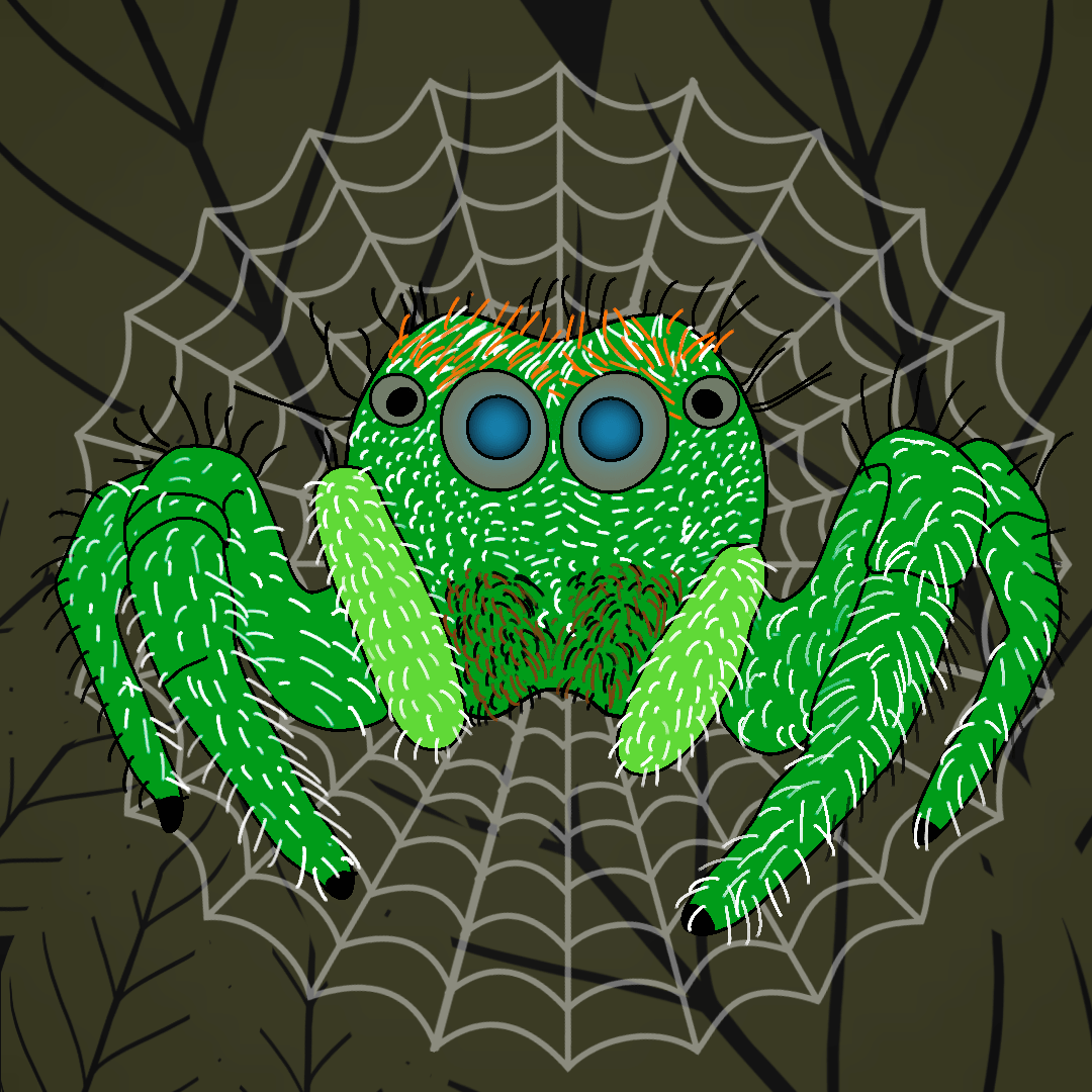 spider
